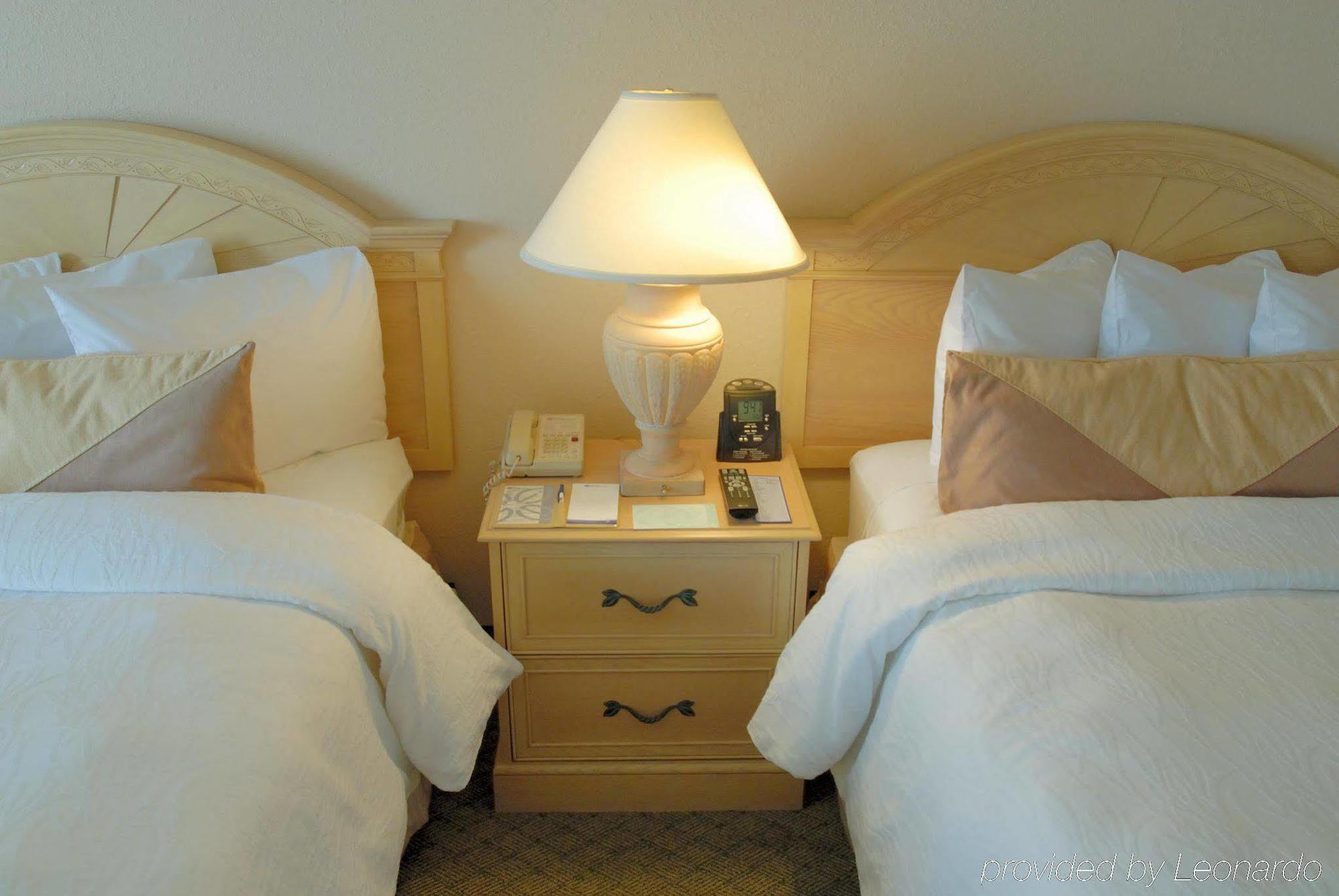 Hilton Garden Inn Atlanta North/Johns Creek Pokój zdjęcie