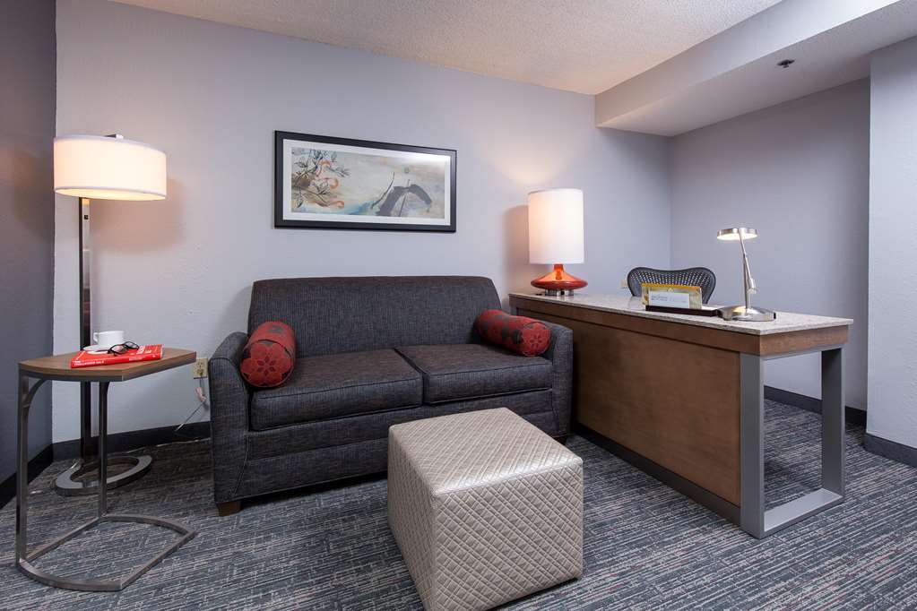 Hilton Garden Inn Atlanta North/Johns Creek Pokój zdjęcie
