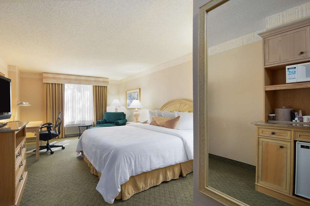 Hilton Garden Inn Atlanta North/Johns Creek Pokój zdjęcie
